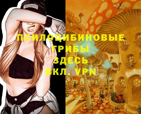 ALPHA-PVP Горняк