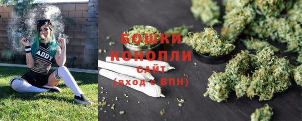 крисы Тында