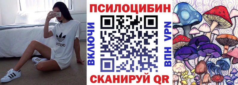 Псилоцибиновые грибы прущие грибы  наркотики  Мценск 