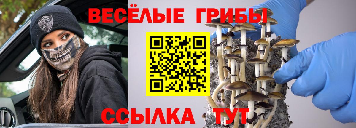 Псилоцибиновые грибы мухоморы Мценск