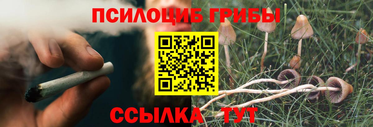 Галлюциногенные грибы мицелий Мценск