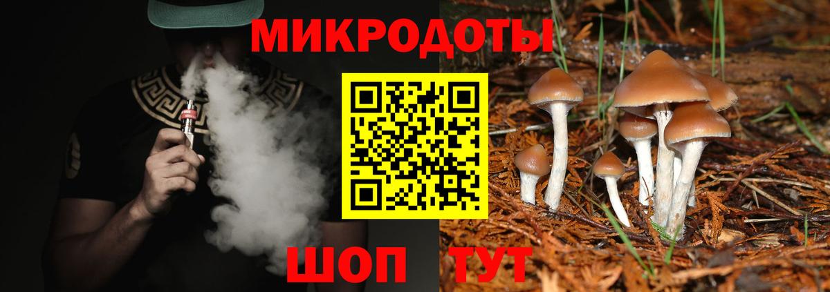 Галлюциногенные грибы Psilocybe  где купить наркотик  Мценск  Галлюциногенные грибы Psilocybe  Вход с VPN 